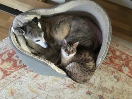 IMG_1690.jpeg
