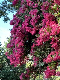 IMG_4725.jpeg