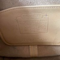 IMG_6852.jpeg