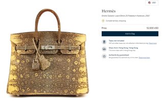 OmbreLizardBirkin.jpeg