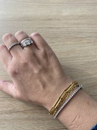 IMG_3650.jpeg