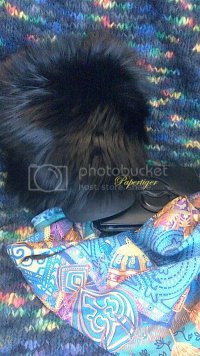 foxHat2_zps35gfdzwy.jpg