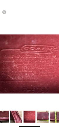 IMG_6895.png