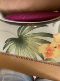 IMG_7277.jpeg