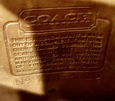 IMG_6922.jpeg