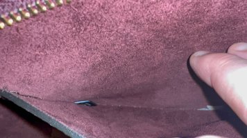 IMG_4246.jpeg