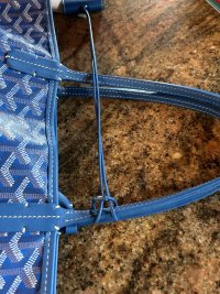 IMG_2560.jpeg