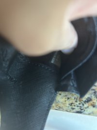 IMG_7895.jpeg