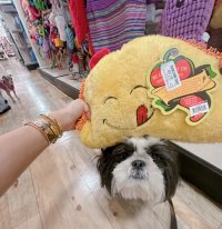 IMG_0828.jpeg