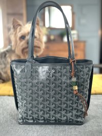 IMG_5806.jpeg