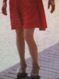 calves2.jpg