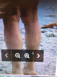 calves3.jpg