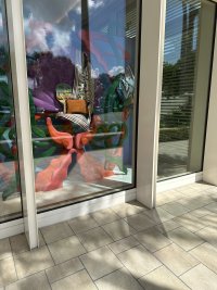 IMG_3237.jpeg IMG_3237.jpeg