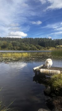 IMG_9107.jpeg