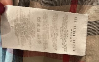 IMG_2727.jpeg