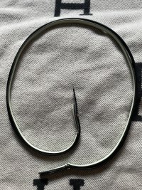 IMG_3847.jpeg