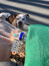 IMG_2692.jpeg