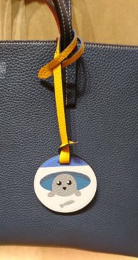 IMG_1892.jpeg