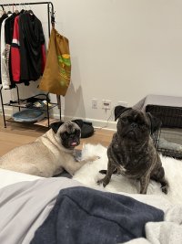IMG_4183.jpeg