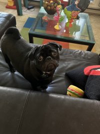 IMG_0822.jpeg