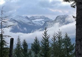 IMG_2795.jpeg