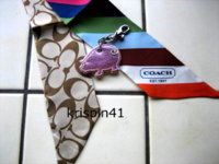 coach-pig01.jpg