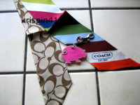 coach-pig02.jpg