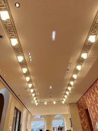 IMG_1848.jpeg
