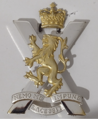 Capbadge.png