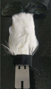 feathers back.png