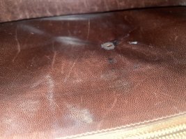 IMG_4546.jpeg