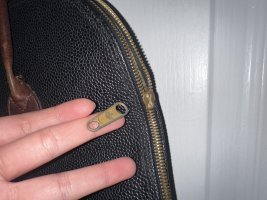 IMG_2551.jpeg