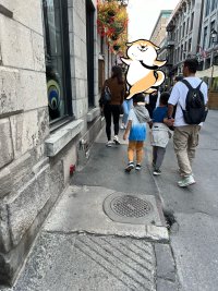 pic1.jpg