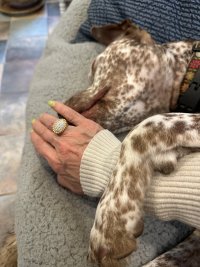 IMG_4966.jpeg