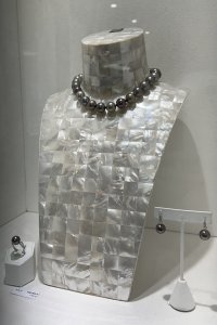 IMG_6052.jpeg