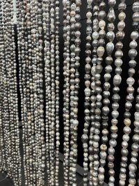 IMG_6053.jpeg