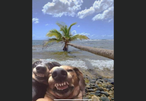 IMG_3048.png