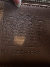 IMG_0933.jpeg
