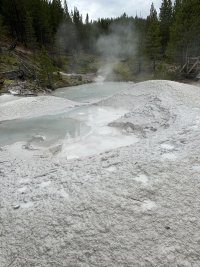 IMG_1065.jpeg