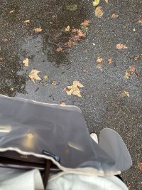 IMG_4881.jpeg