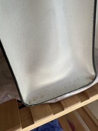 IMG_6862.jpeg