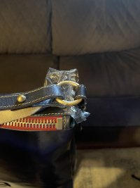 IMG_7241.jpeg