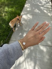 IMG_2380.jpeg