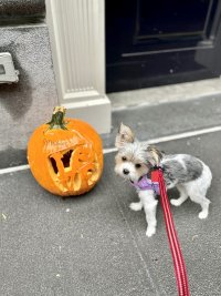 IMG_0073.jpeg