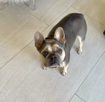 IMG_0647.jpeg