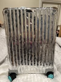 IMG_7262.jpeg