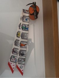IMG_2279.jpeg