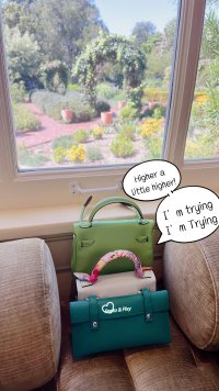 IMG_9941.jpeg