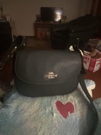 IMG_2368.jpeg