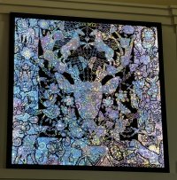 IMG_8840.jpeg
